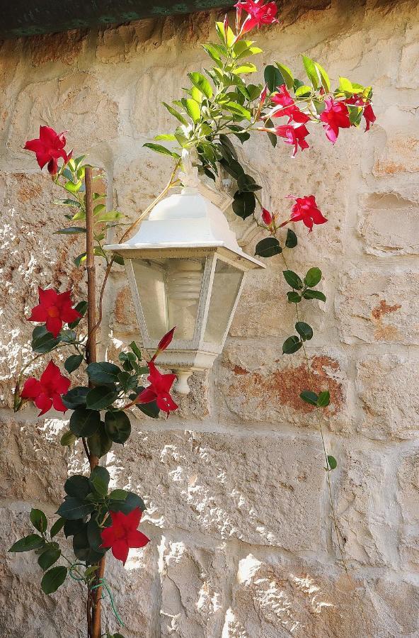 Trulli And Nature Antonelli Bagian luar foto