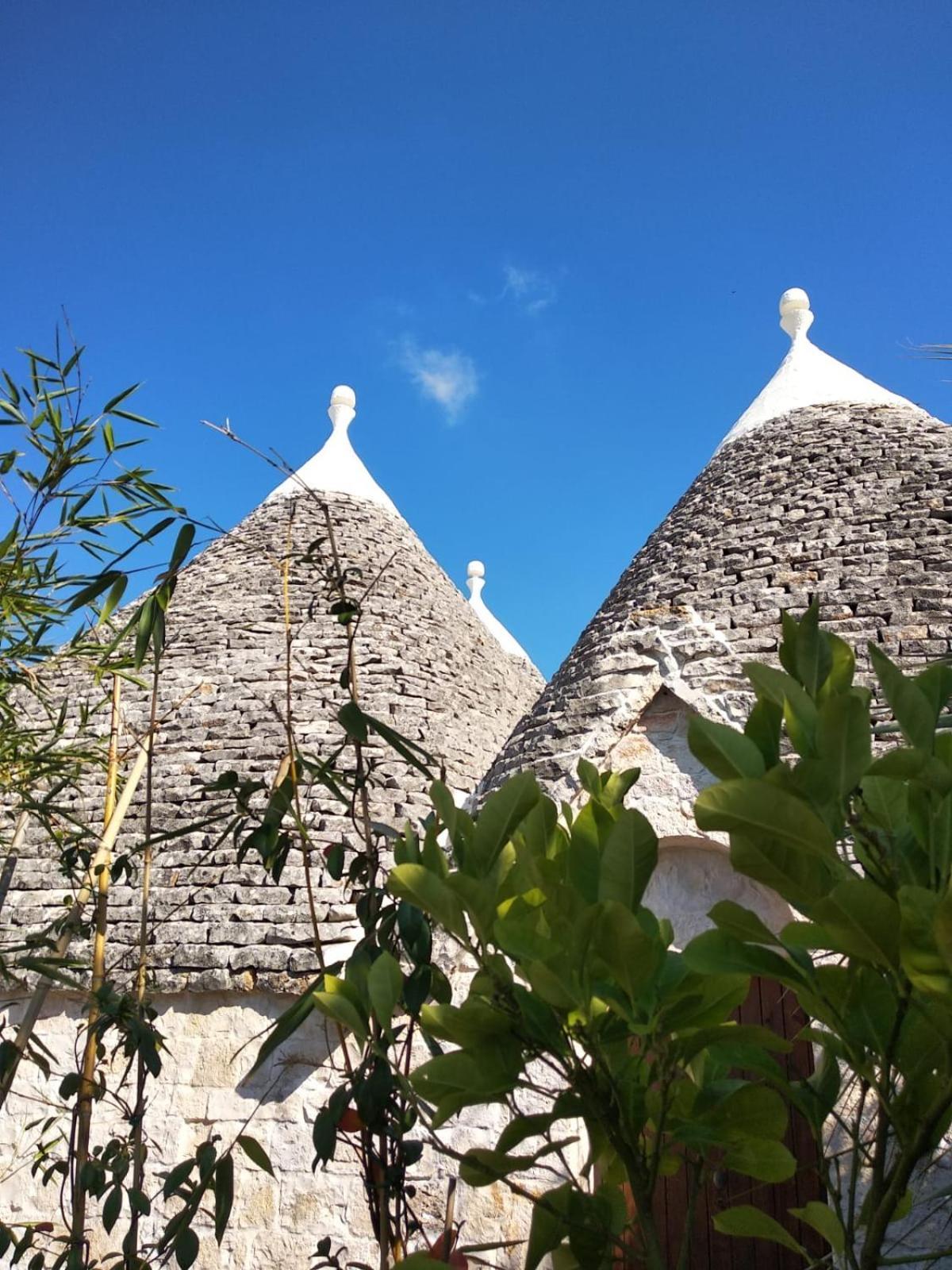 Trulli And Nature Antonelli Bagian luar foto
