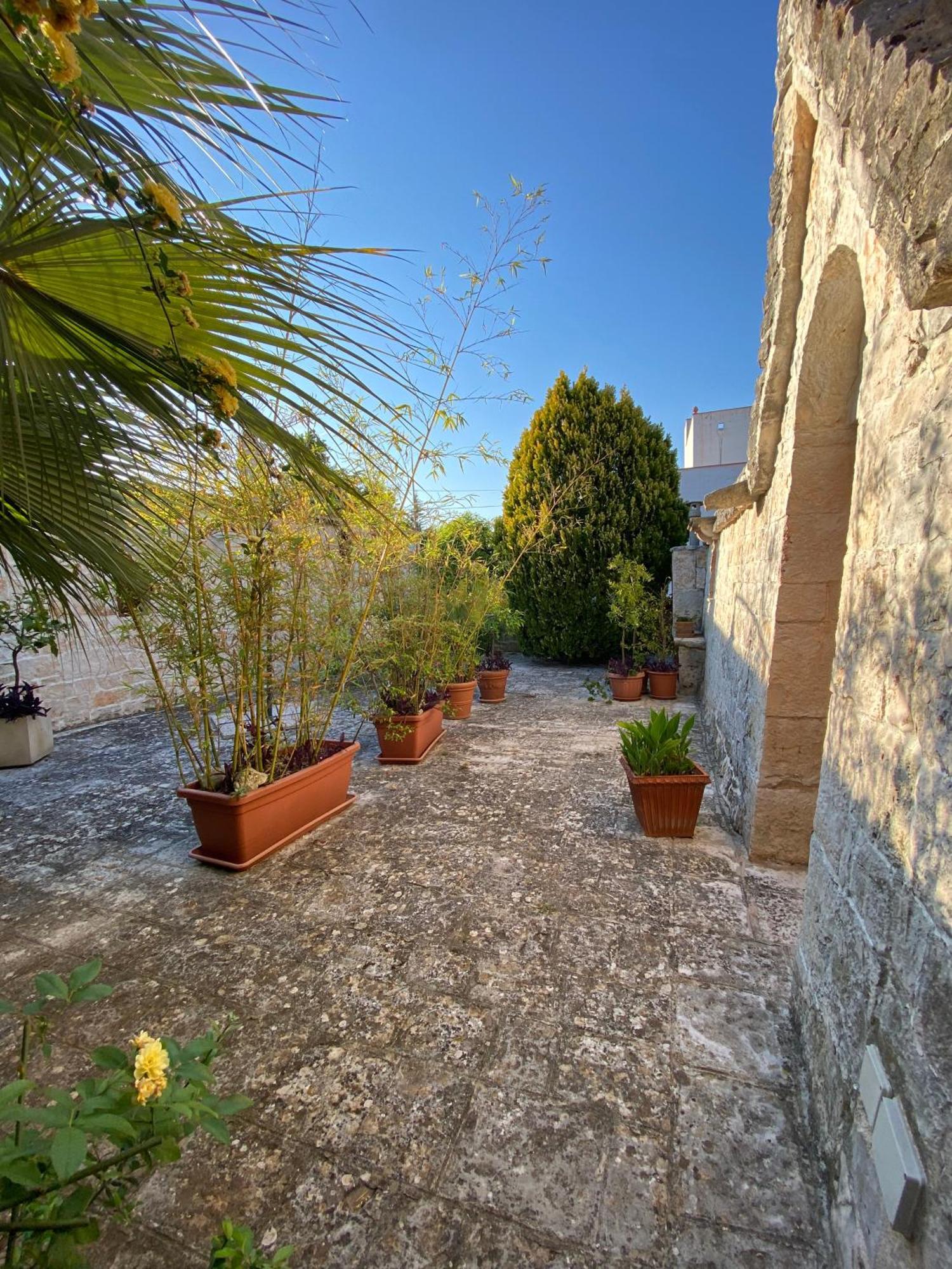 Trulli And Nature Antonelli Ruang foto