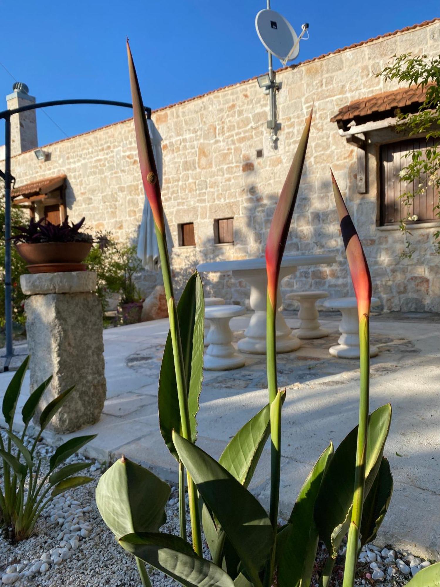 Trulli And Nature Antonelli Ruang foto