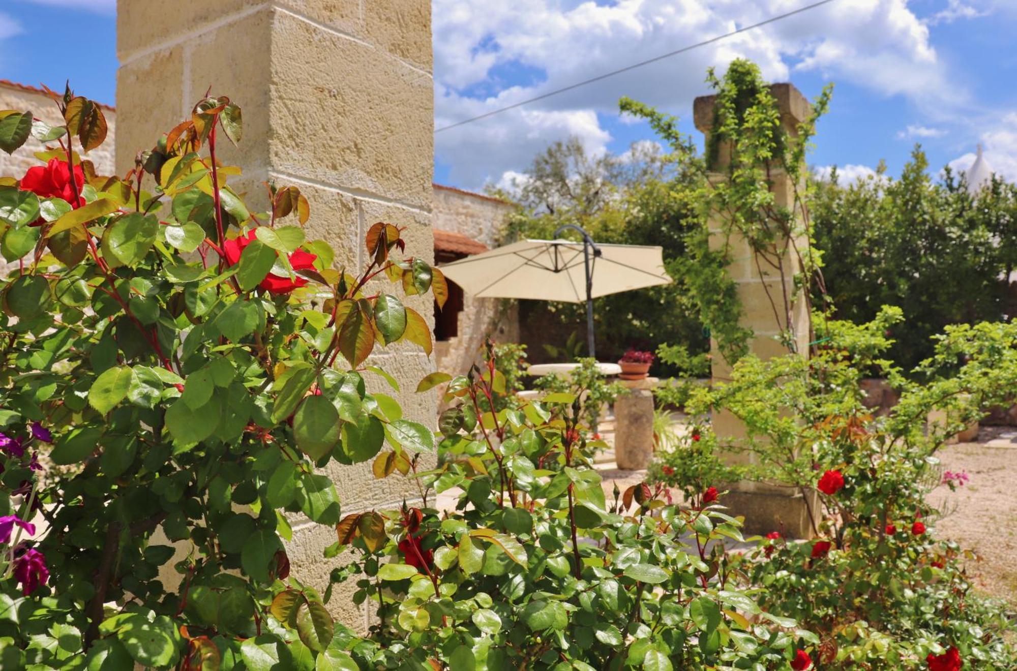 Trulli And Nature Antonelli Ruang foto