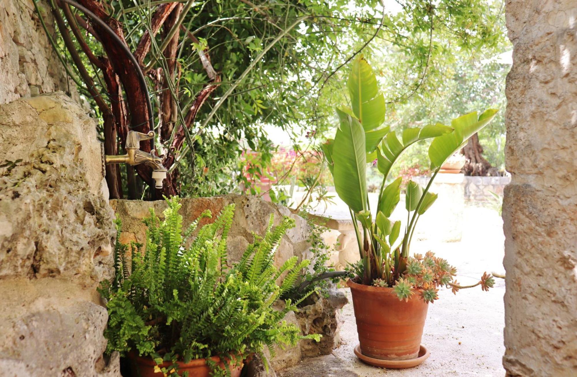 Trulli And Nature Antonelli Ruang foto