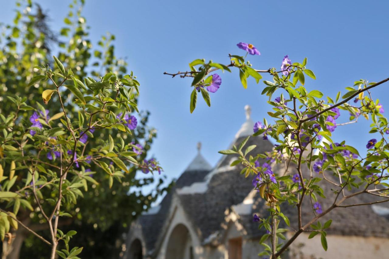 Trulli And Nature Antonelli Bagian luar foto
